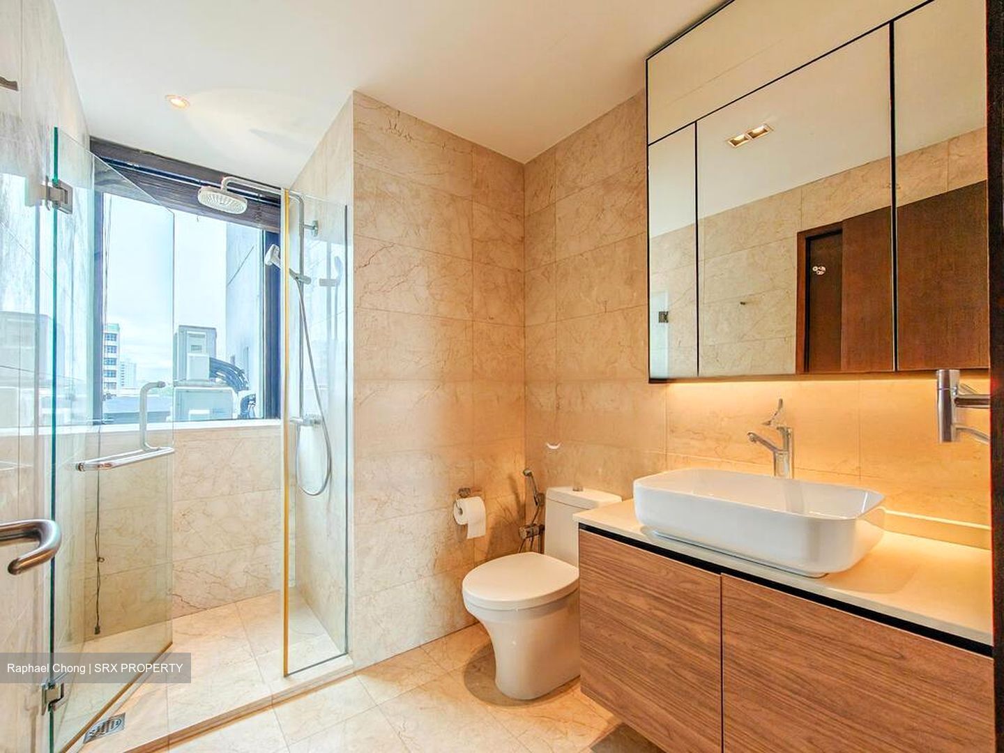 Harbour View Towers (D4), Condominium #497713571